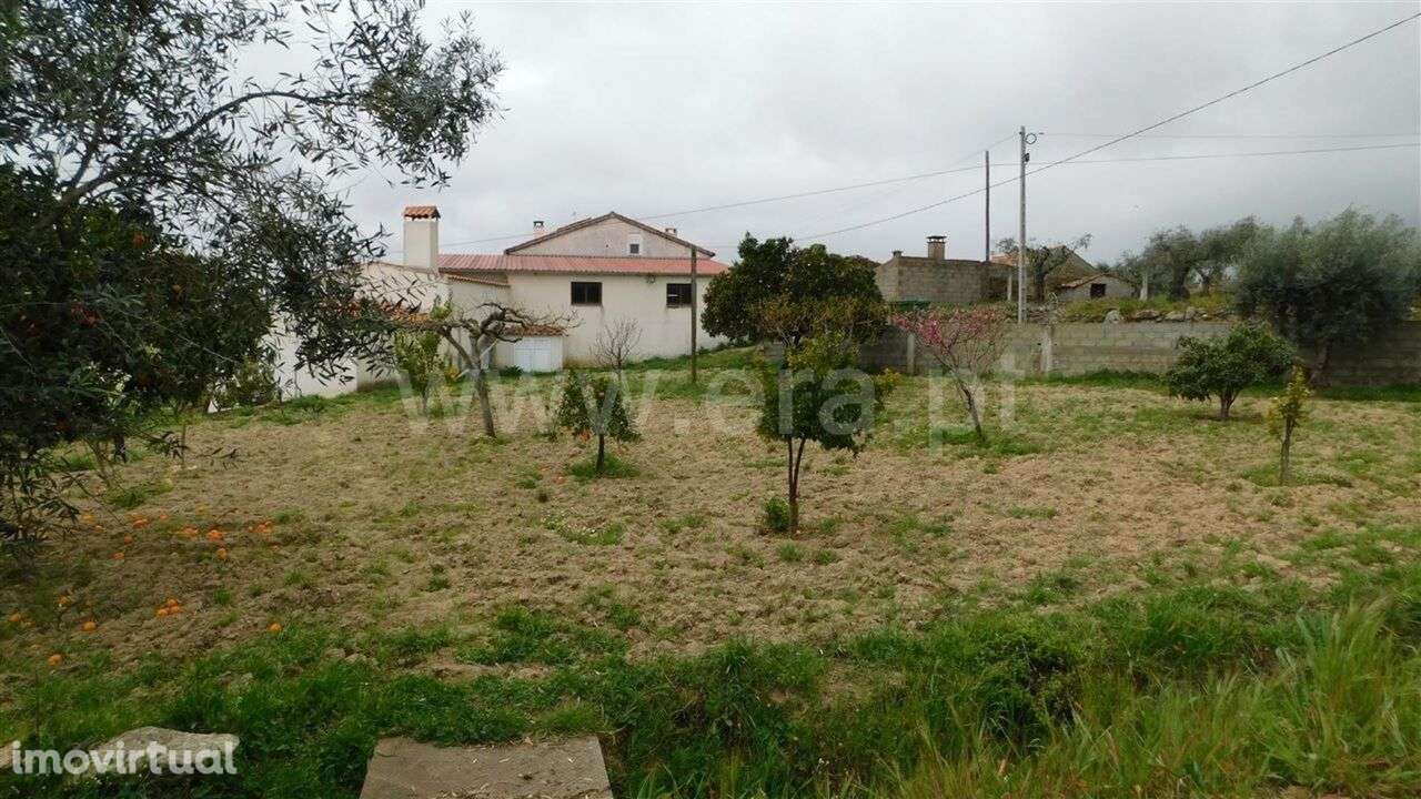 Quintinha T4 / Fundão, Mata da Rainha - Grande imagem: 2/5