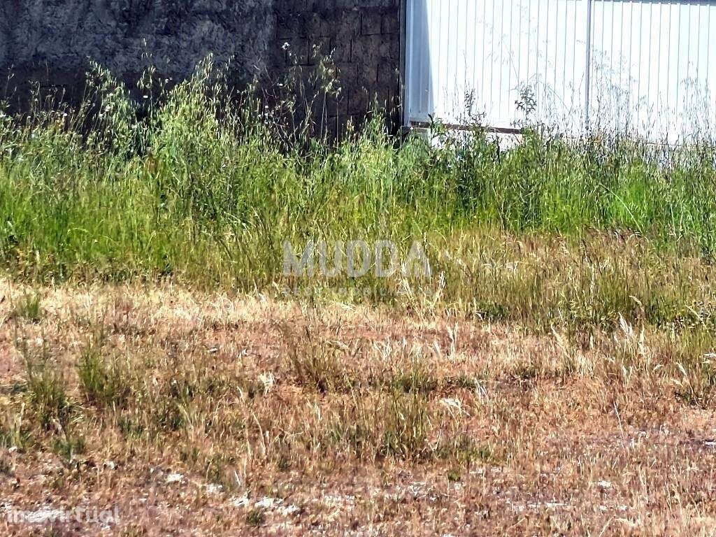 Terreno para construção na Benedita - Grande imagem: 4/4