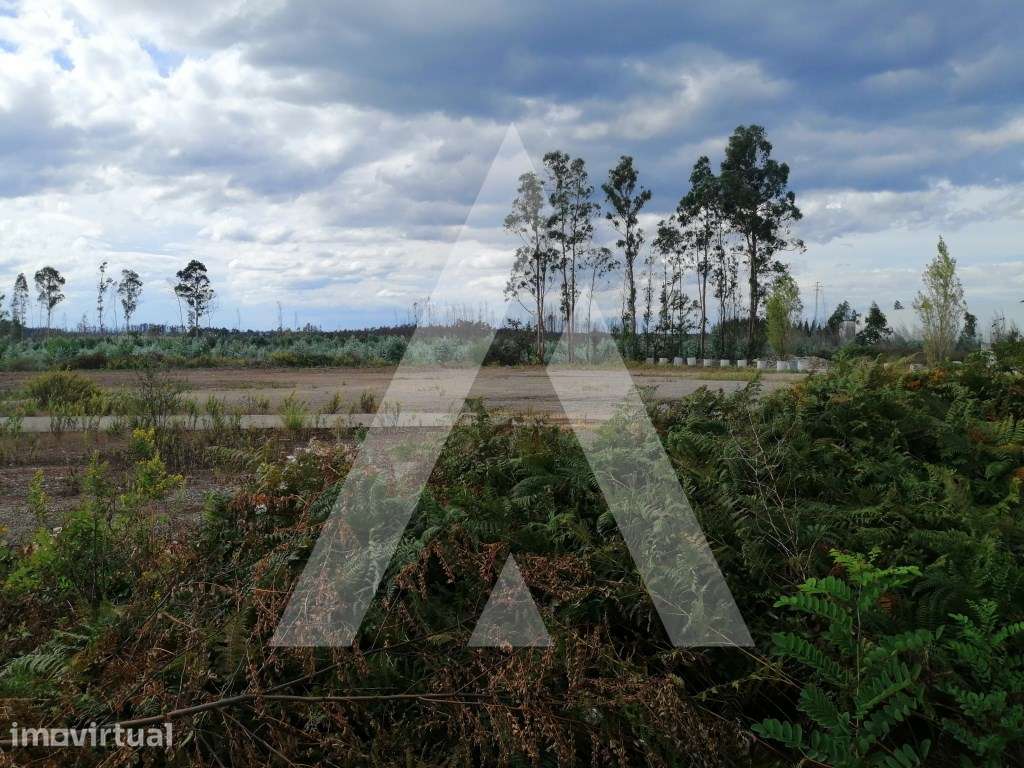 Terreno Rústico com viabilidade de construção industrial. - Grande imagem: 2/8
