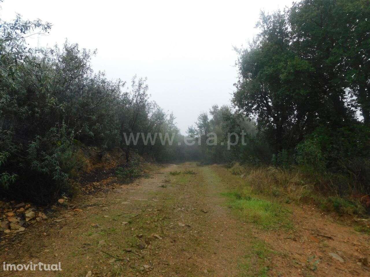 Terreno Rústico / Fundão, Vales Pêro Viseu - Grande imagem: 5/12