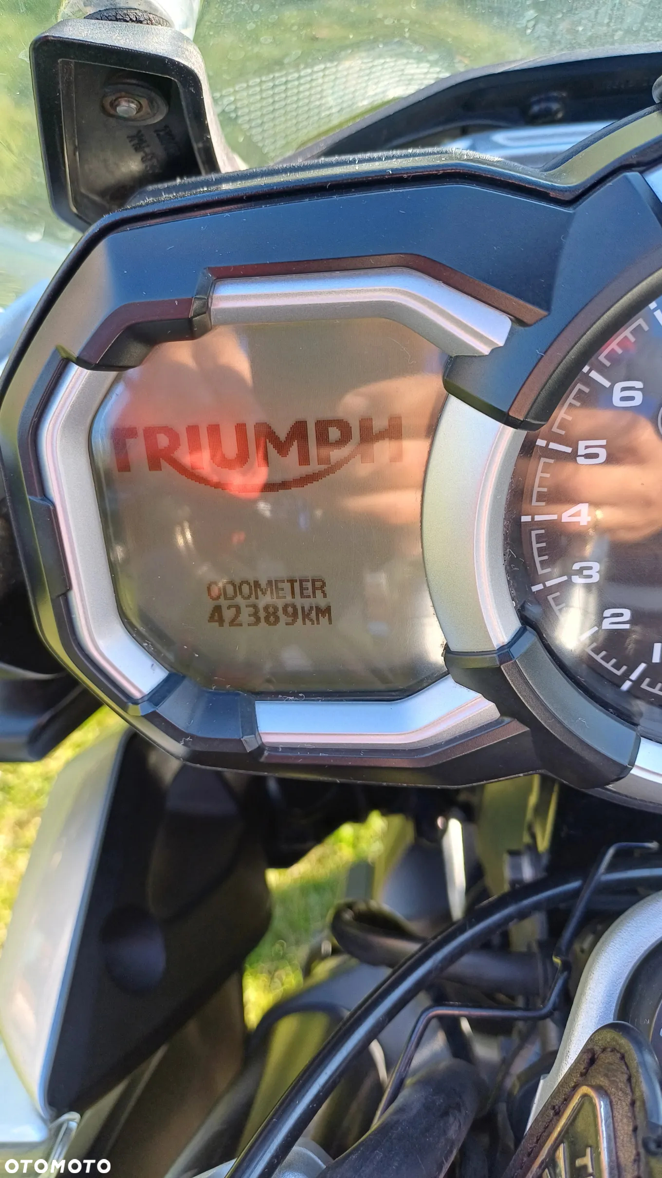 Triumph Tiger - 10