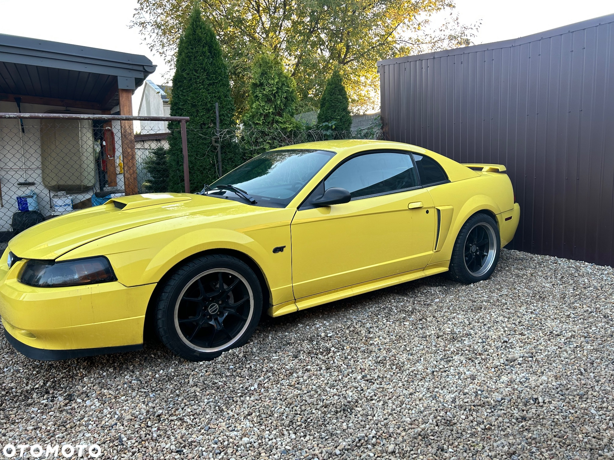 Ford Mustang - 4