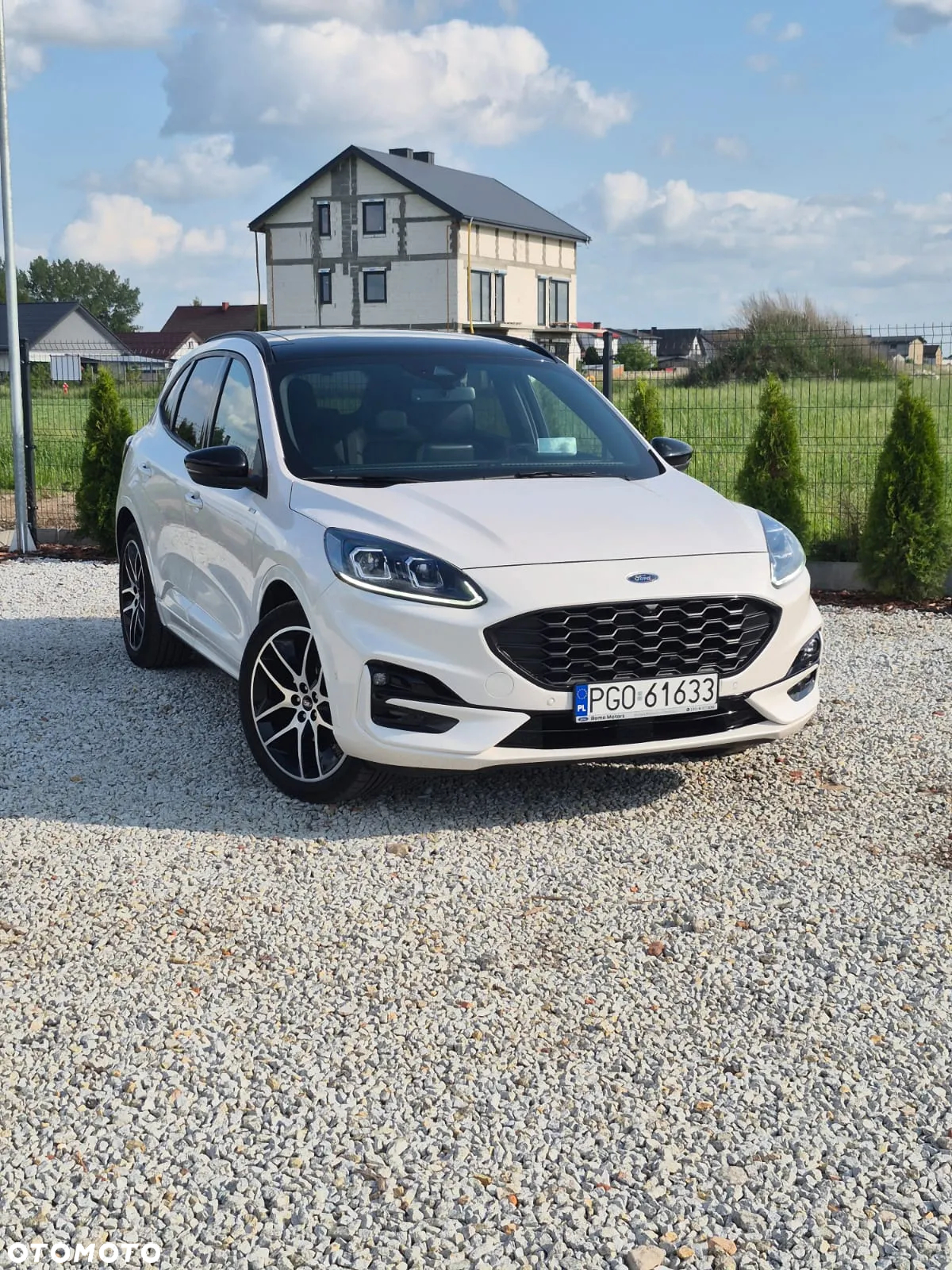 Ford Kuga 2.5 FHEV FWD ST-Line - 5