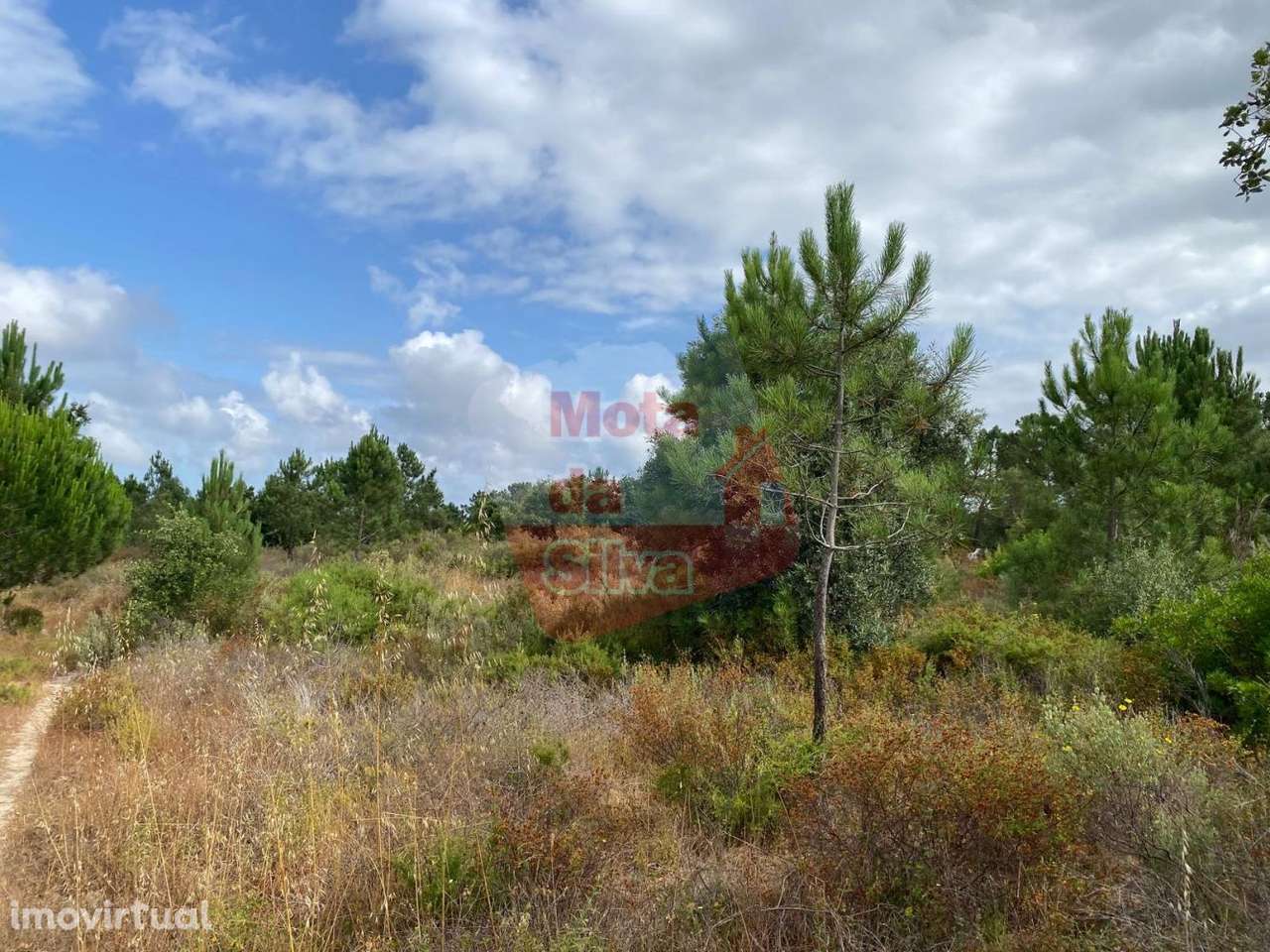 Excelente Terreno em Melides Valinho da Estrada - Grande imagem: 3/18