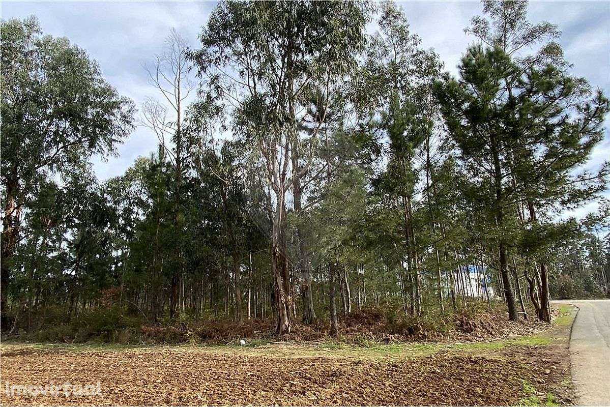 Terreno  para venda - Grande imagem: 5/9