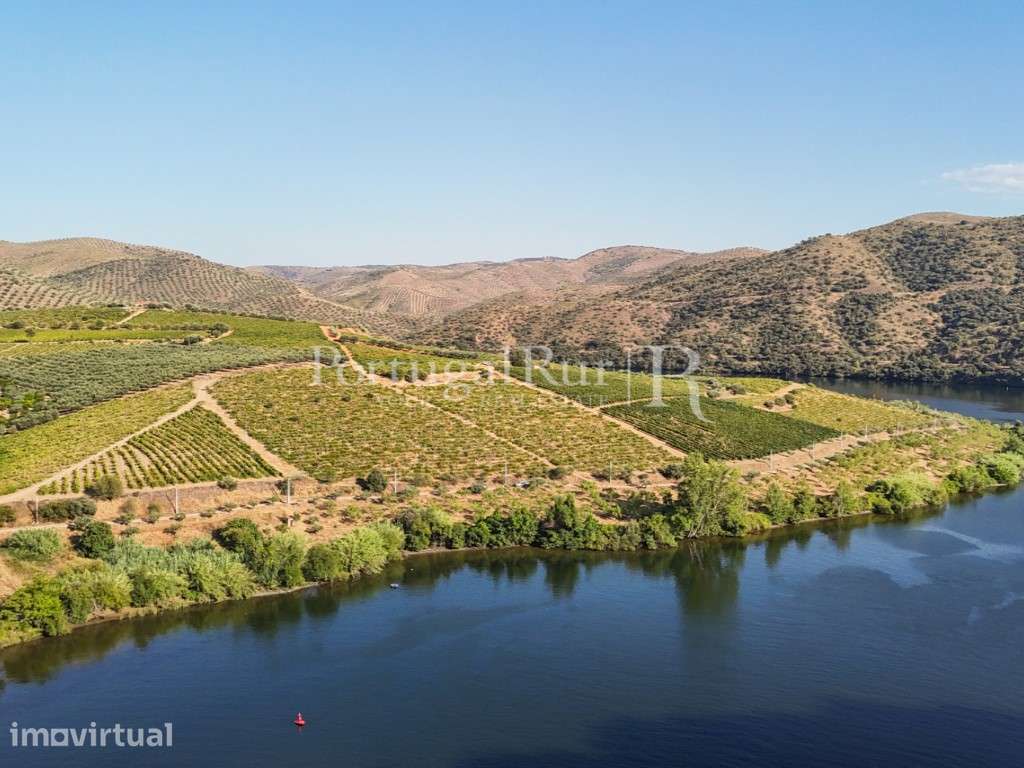 Quinta no Douro junto ao Rio com 3 construções - Grande imagem: 3/50