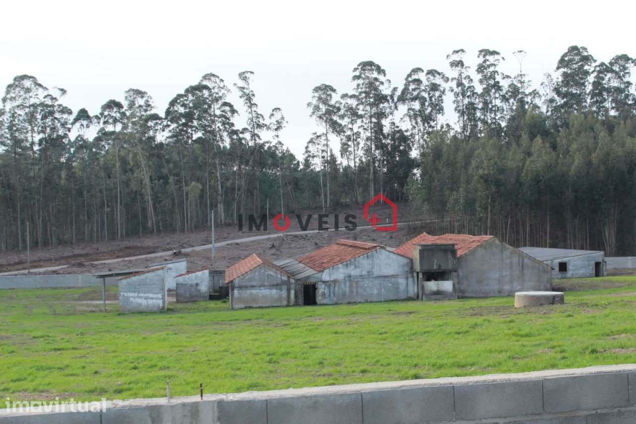 ***Terreno c/ 37.000m2 *** - Grande imagem: 3/19
