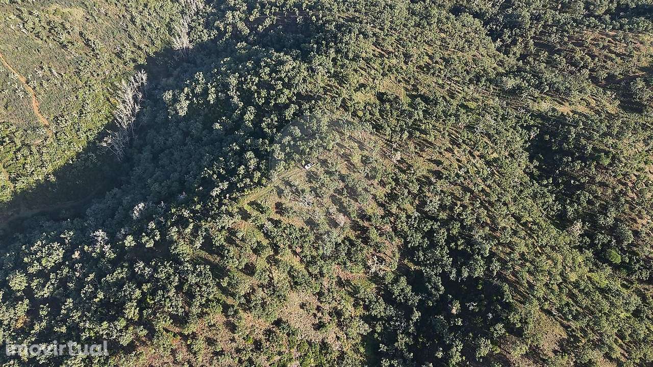 Terreno  para venda - Grande imagem: 2/16