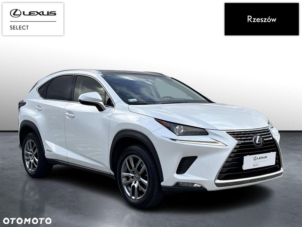 Lexus NX 300h Business Edition AWD - 7