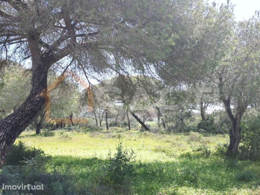 Terreno em Lagoa e Carvoeiro - Grande imagem: 2/18