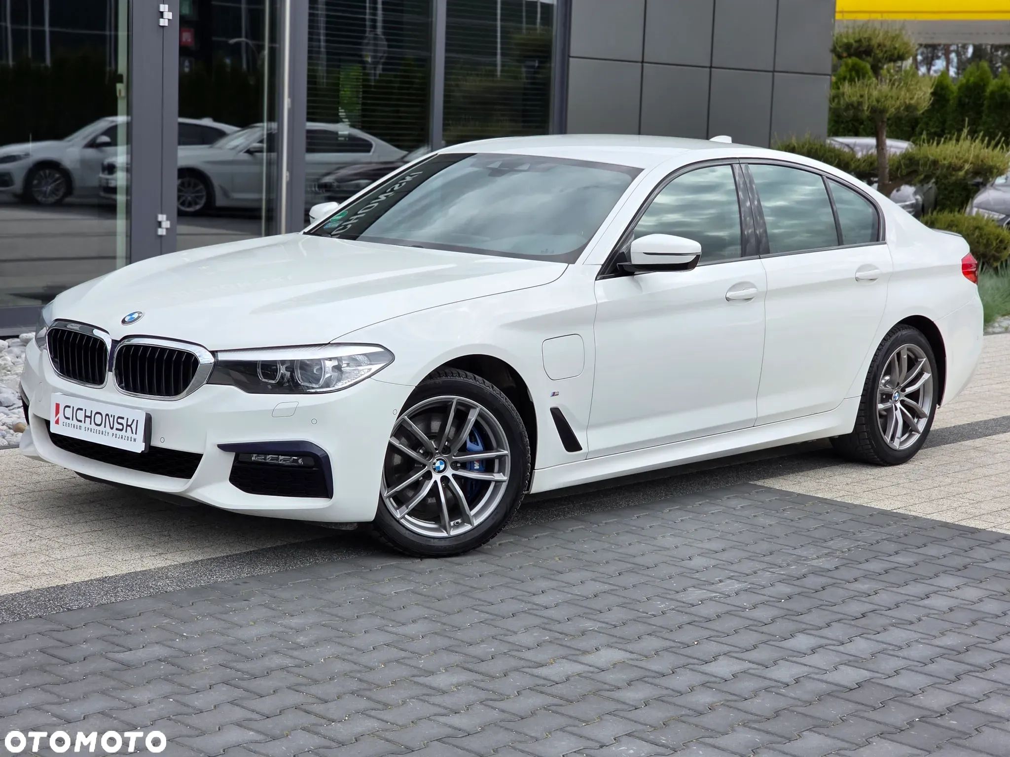 BMW Seria 5 - 1
