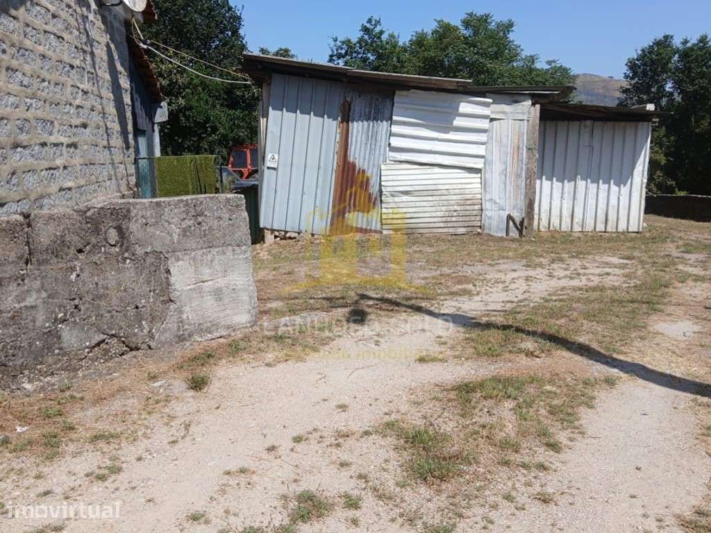Quintinha, com 7000m2 com 4 artigos, 3 nas casa e 1 no terreno. - Grande imagem: 5/21