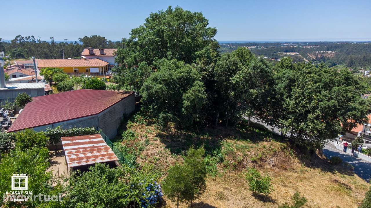 Terreno rústico em Mosteirô - Exclusivo - Grande imagem: 4/15