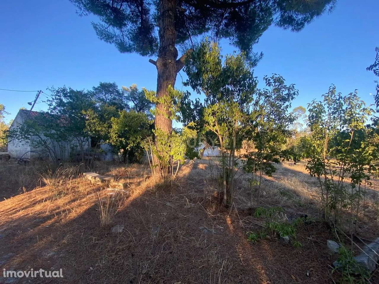 Herdade , Lousa, Castelo Branco - Grande imagem: 2/8