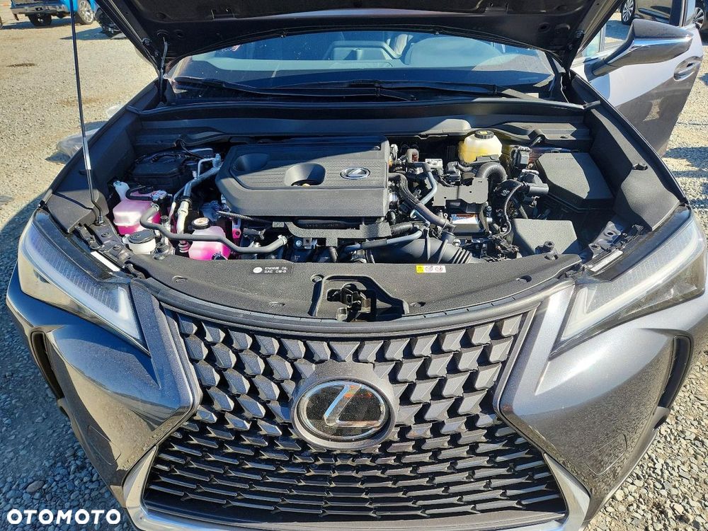 Lexus UX 300h - 12
