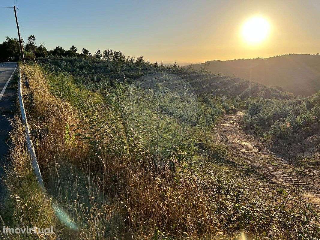 Quinta  para venda - Grande imagem: 2/5