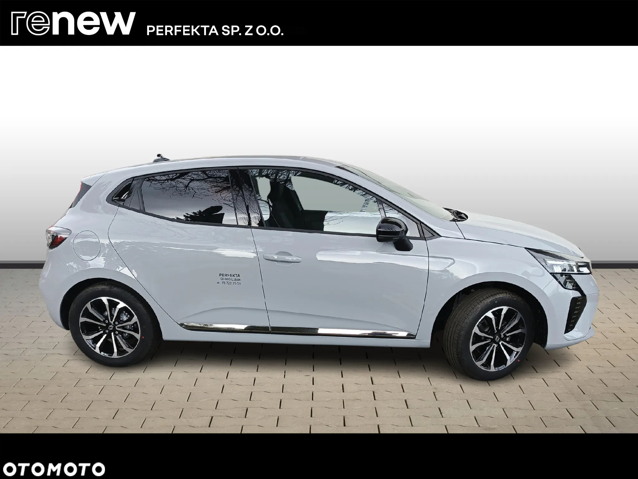 Renault Clio - 6
