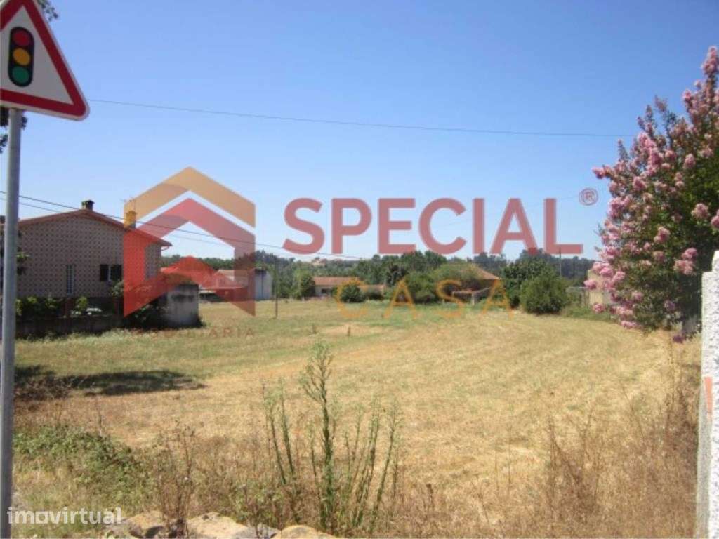 Terreno para construção com 5.000m2 em Anadia, Aveiro - Grande imagem: 4/7