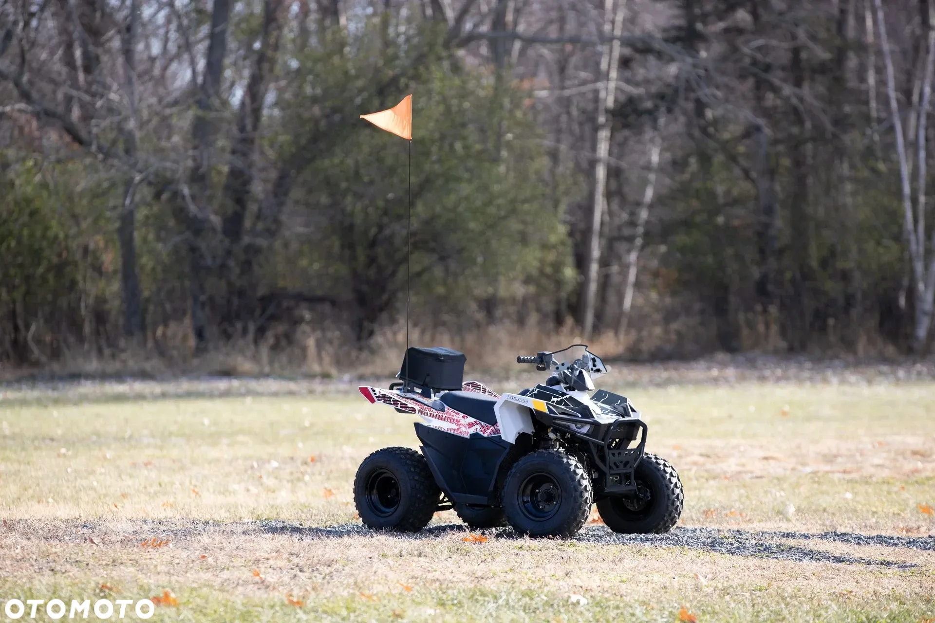 Polaris Outlaw - 9