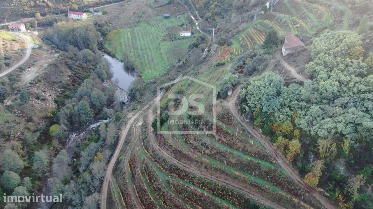 Quinta  Venda em Várzea de Abrunhais,Lamego - Grande imagem: 4/21