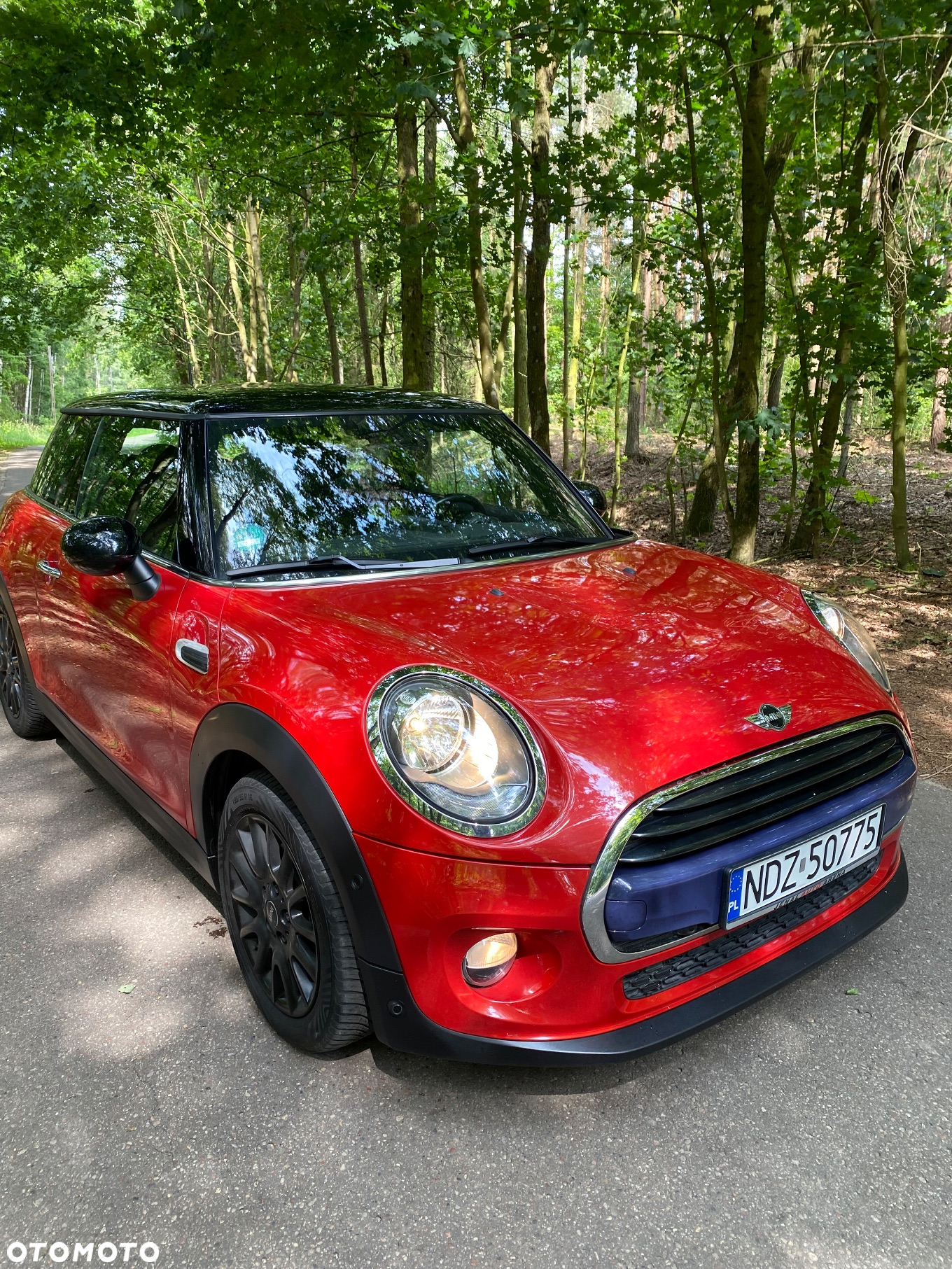 MINI Cooper Resolute Edition - 2