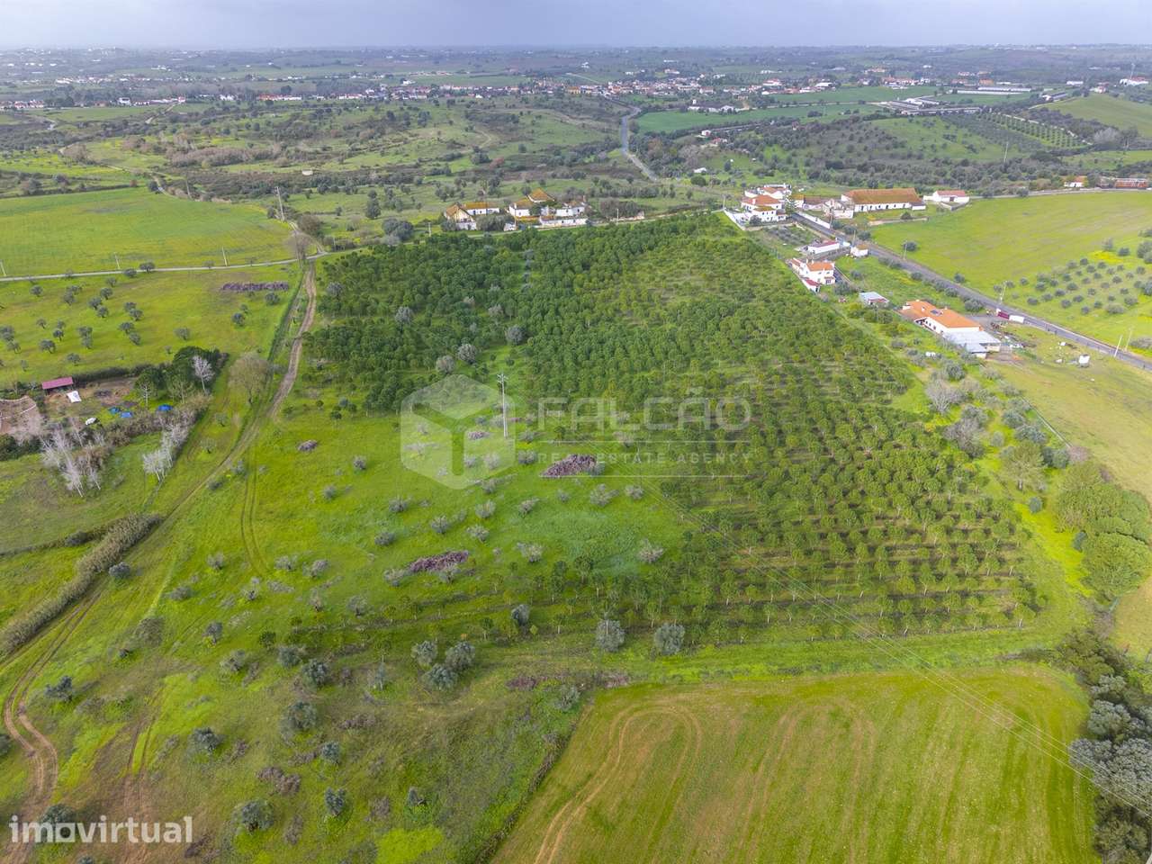 Terreno Rústico  Venda em Romeira e Várzea,Santarém - Grande imagem: 3/17