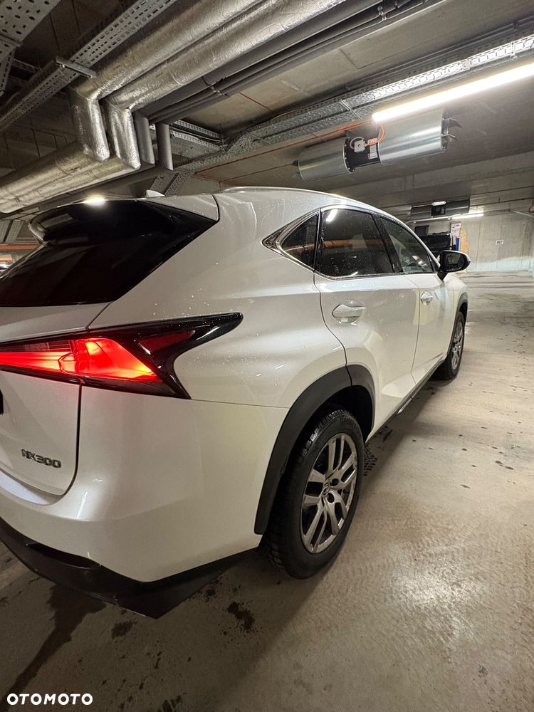 Lexus NX 300 Business Edition AWD - 5