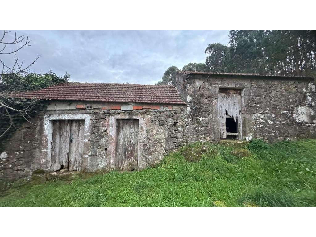 Moradia em ruína em S. Julião, Valença - Grande imagem: 5/15