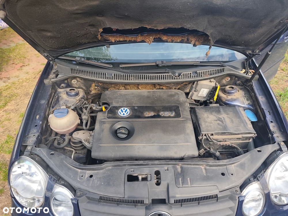 Volkswagen Polo 1.4 16V Basis - 1