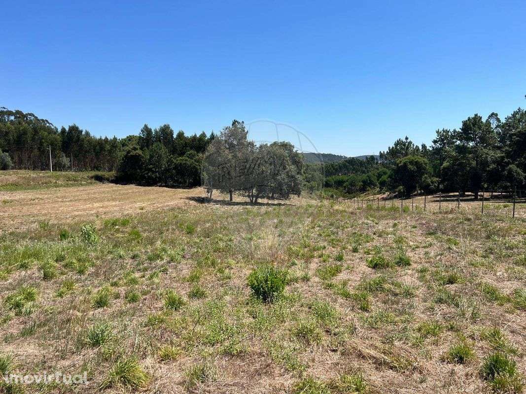 Terreno  para venda - Grande imagem: 3/12