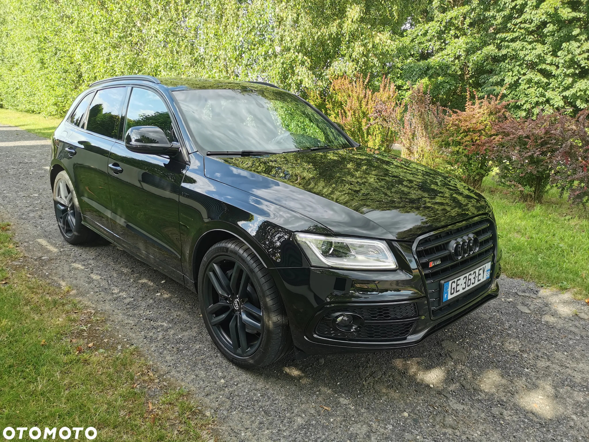 Audi SQ5 3.0 TDI Plus Quattro Tiptr - 2