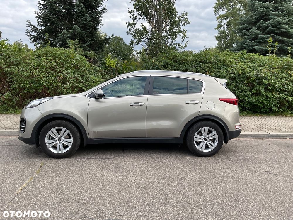 Kia Sportage 1.6 T-GDI Business Line 4WD DCT - 2