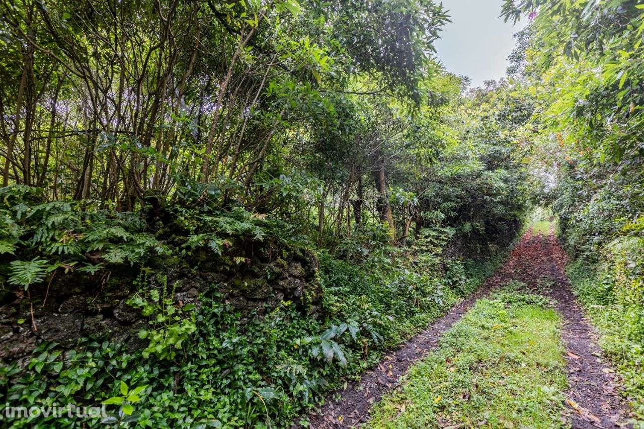 Terreno Rústico no Livramento - Grande imagem: 4/7