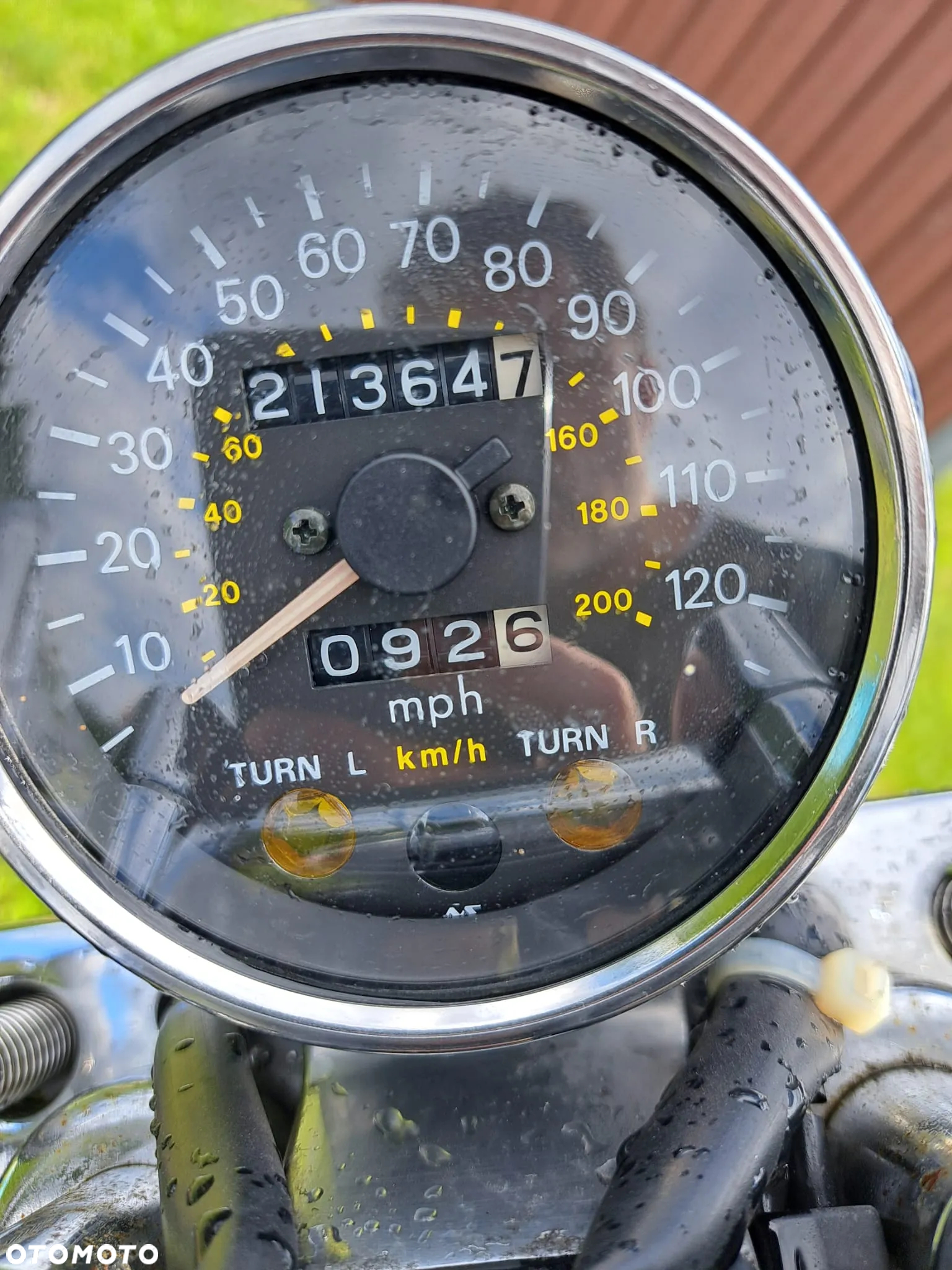 Suzuki Intruder - 5
