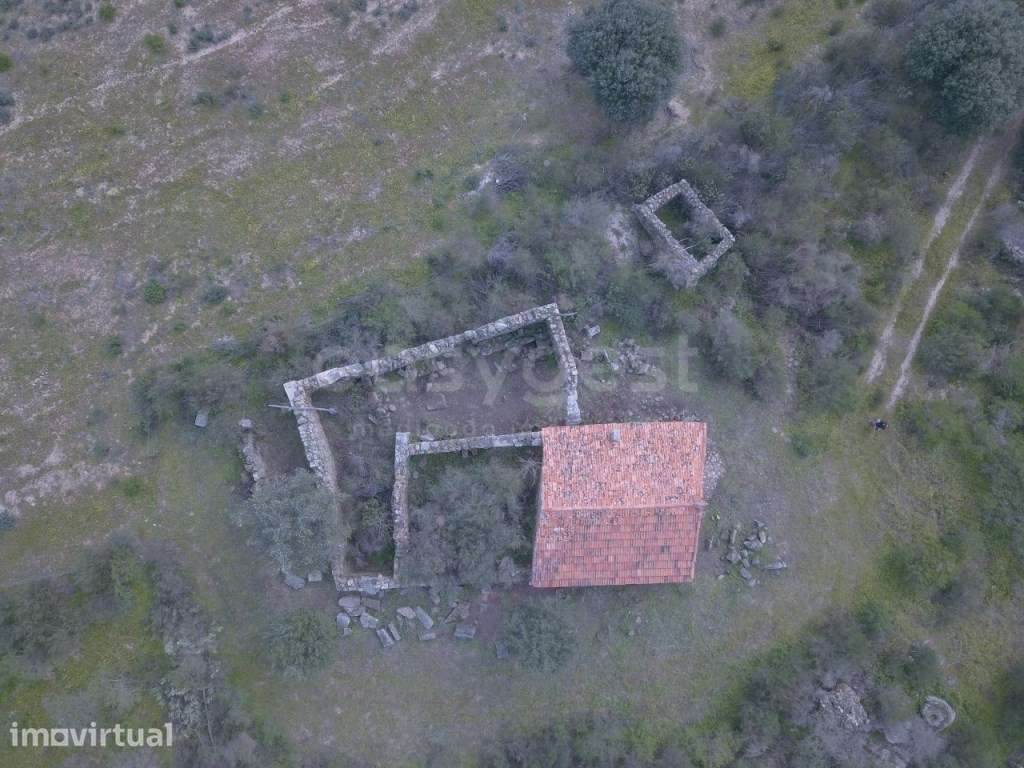 Herdade de 2,725 hectares junto a Monsanto e Idanha-a-Velha | Natur... - Grande imagem: 5/11