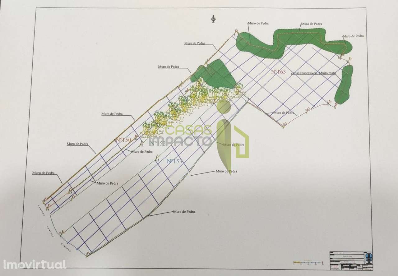 Terreno Rústico com 9640m2 na Terrugem - Grande imagem: 5/13