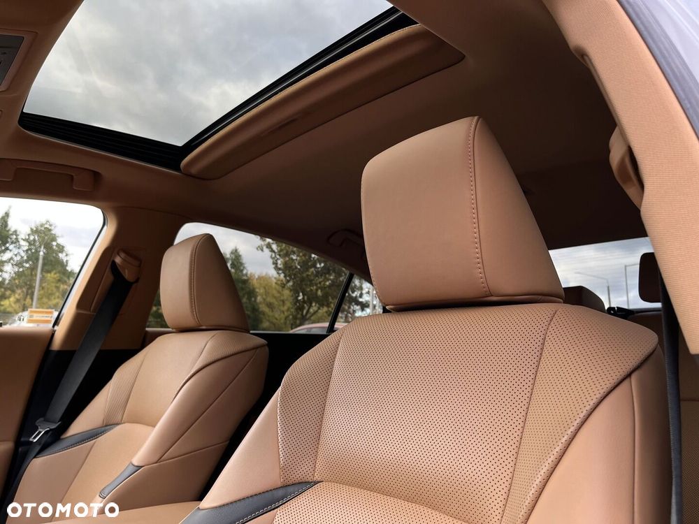 Lexus ES 300h Business Edition - 19