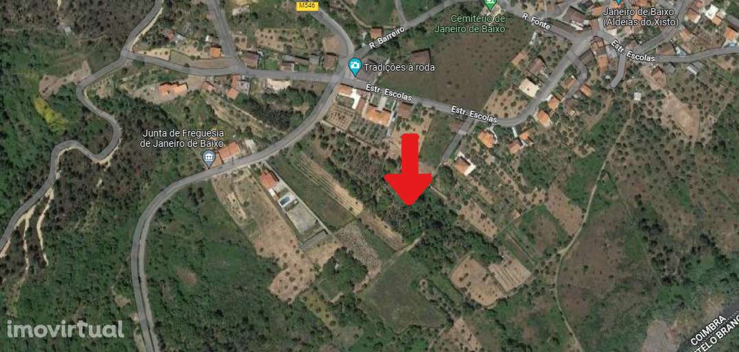 Terreno Rústico - Janeiro de Baixo (Tapada) - Grande imagem: 4/6
