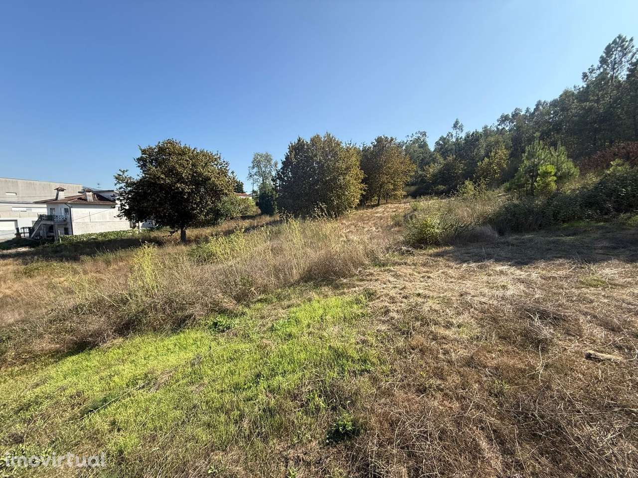 TERRENO RÚSTICO À VENDA – GUIMARÃES - Grande imagem: 4/13