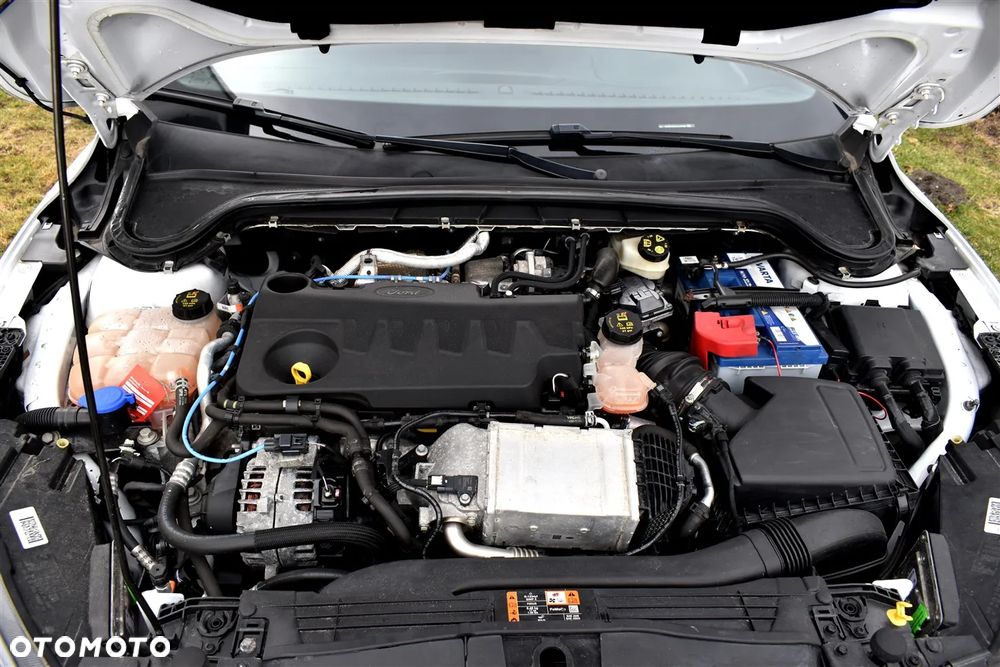 Ford Focus 2.0 EcoBlue ST-Line Business - 37