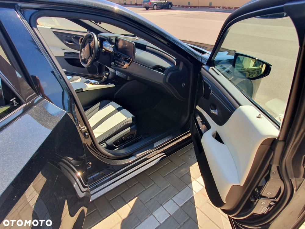 Lexus ES 300h F Sport Edition - 18