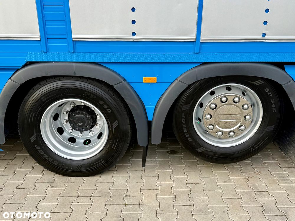 MAN TGX 26.540 // E6 // Zabudowa PEZZAIOLI // 3 poziomy hydraulika, podnoszony dach, rampa hydrauliczna // do żywca, do bydła, do transportu zwierząt - 24