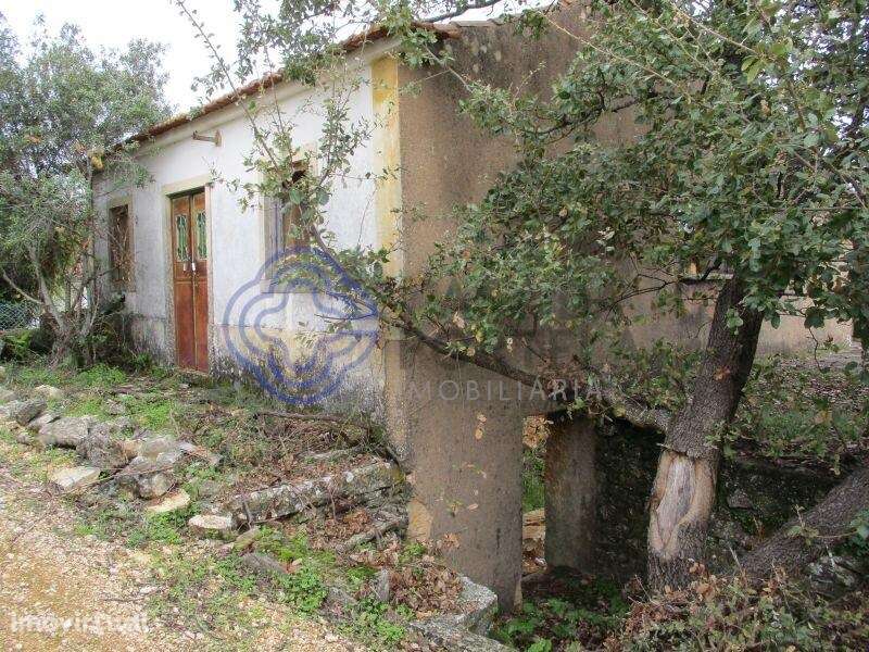 Casa de habitação em ruínas perto de Tomar no centro de Portugal - Grande imagem: 2/33