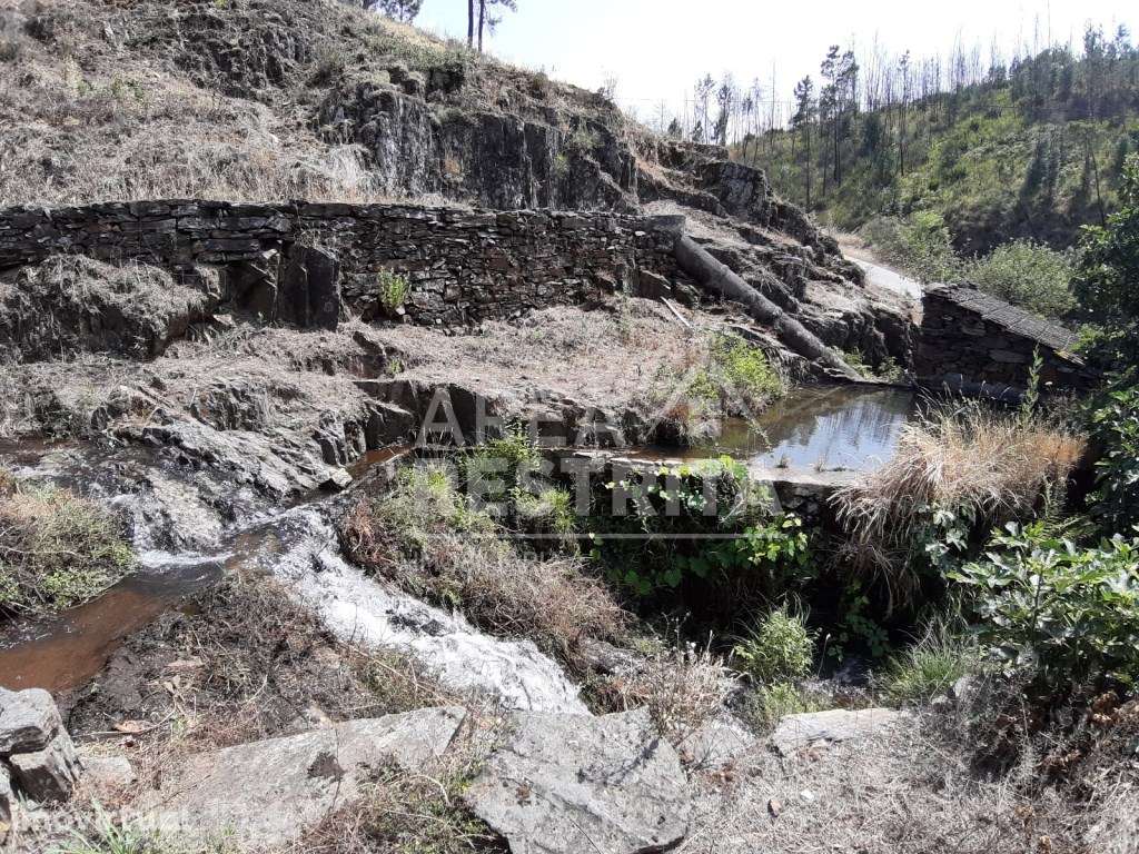 Verdadeiro paraíso no coração de Cambas em Oleiros - Grande imagem: 5/60