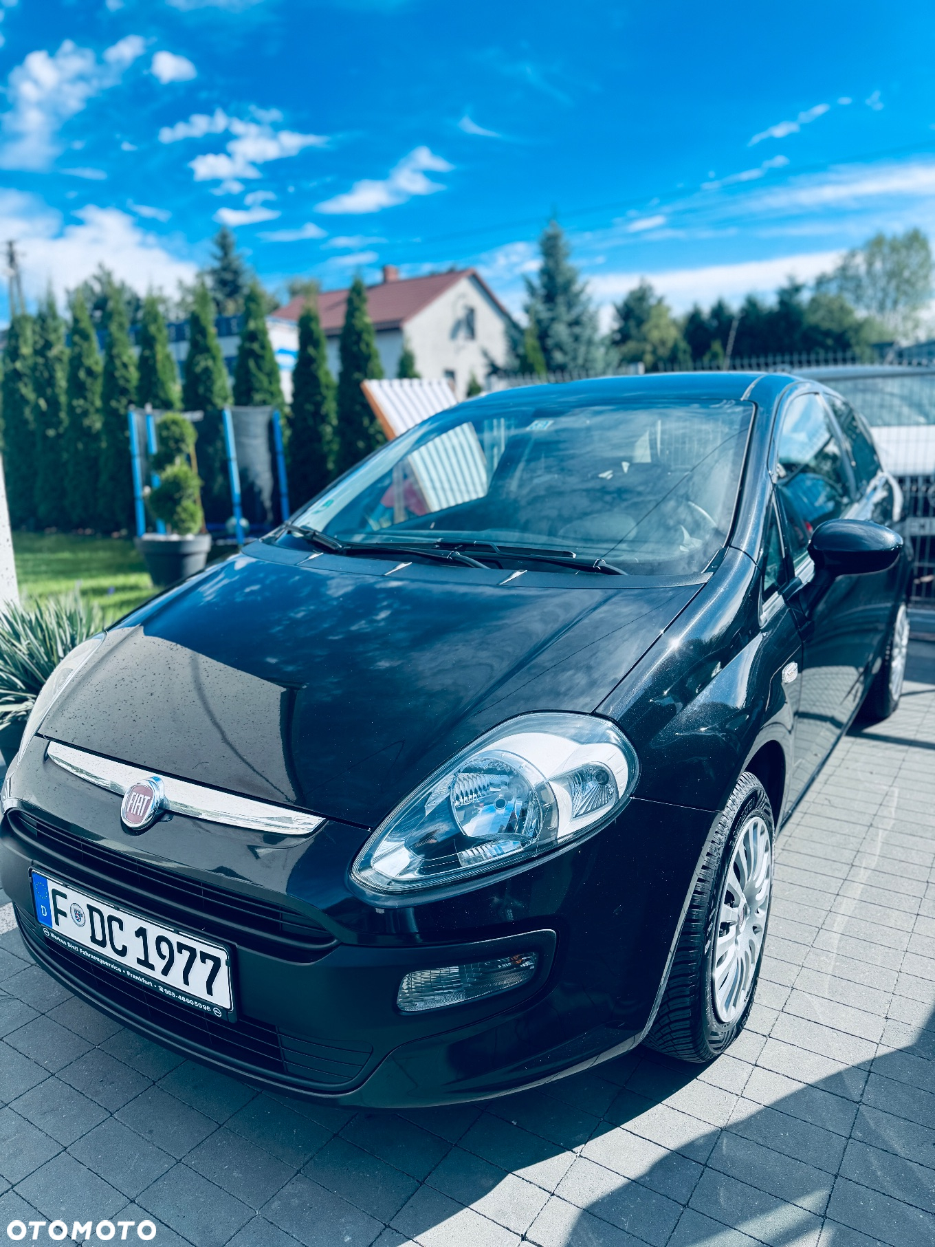 Fiat Punto Evo 1.2 8V MyStyle - 8