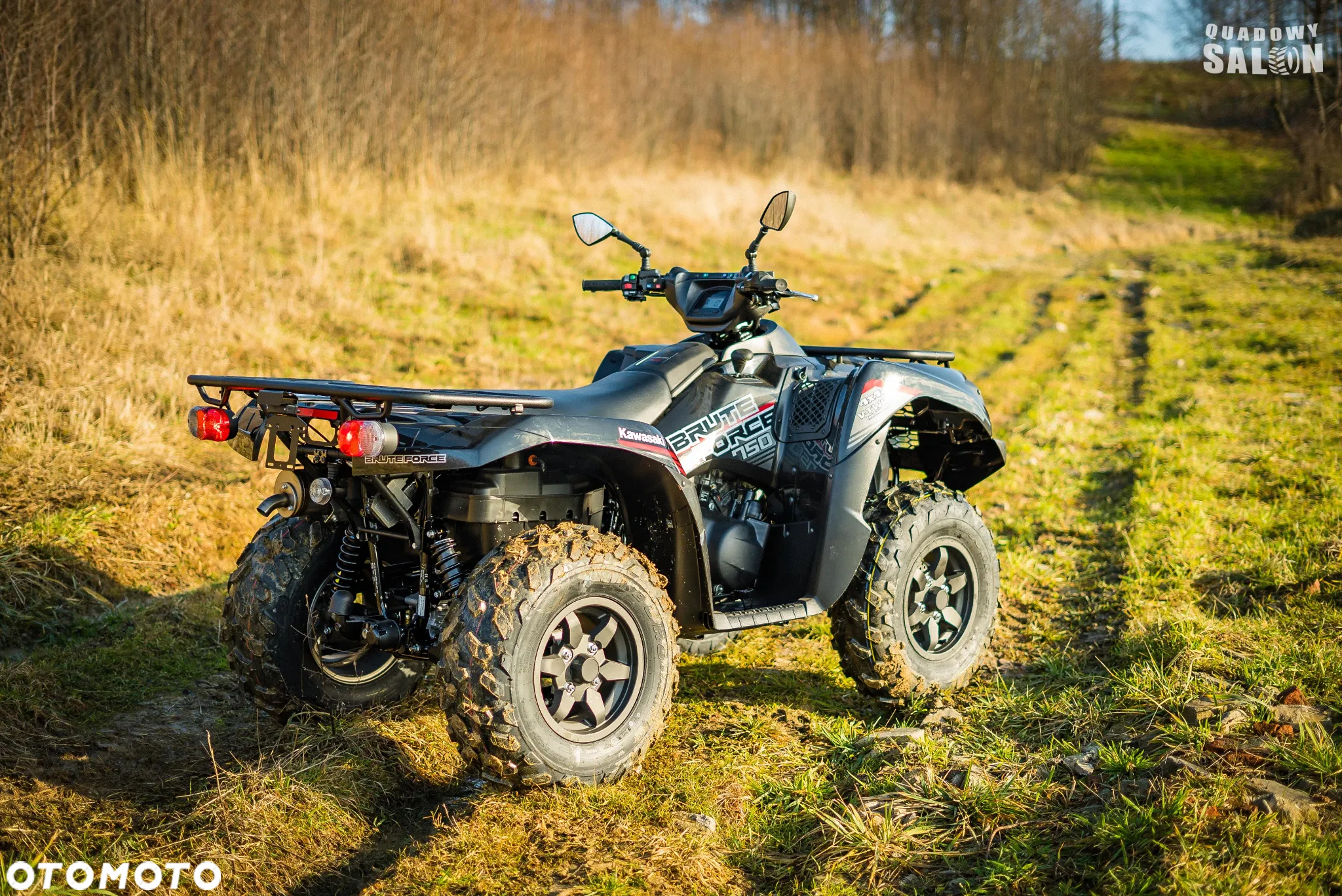 Kawasaki Brute Force - 3