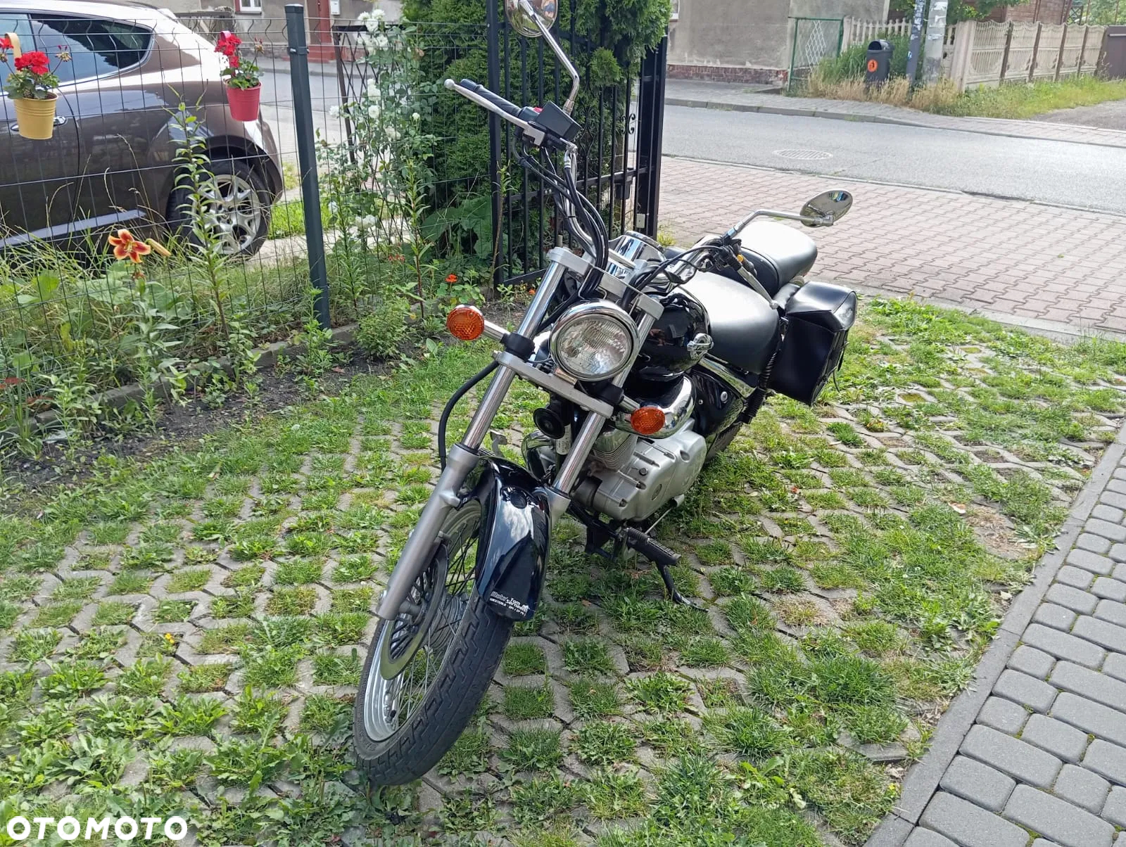 Suzuki Intruder - 3