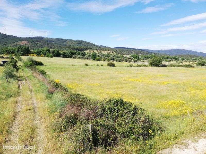 Quinta em Meimoa 9 ha - Grande imagem: 3/11