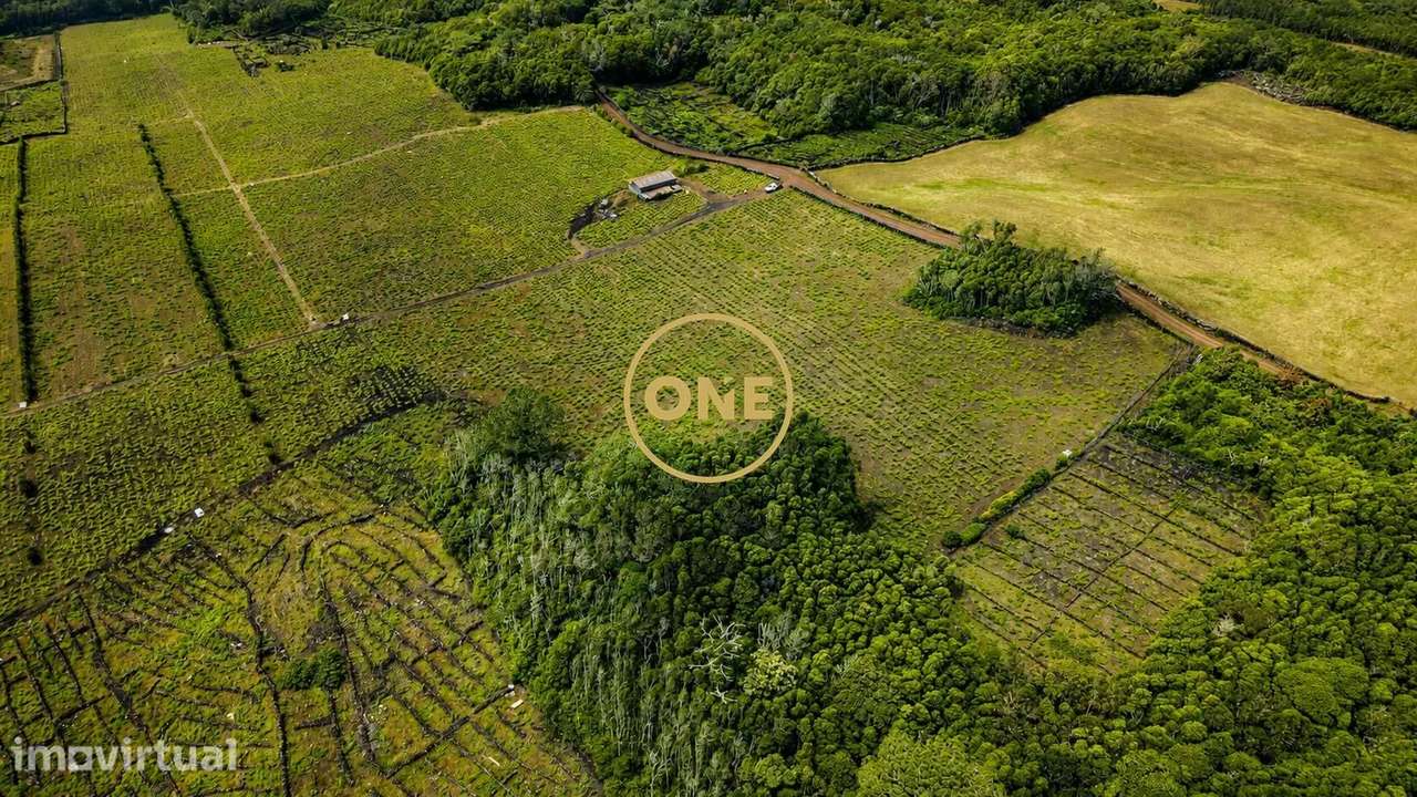 Terreno com vinha à venda na ilha do Pico - Grande imagem: 3/8