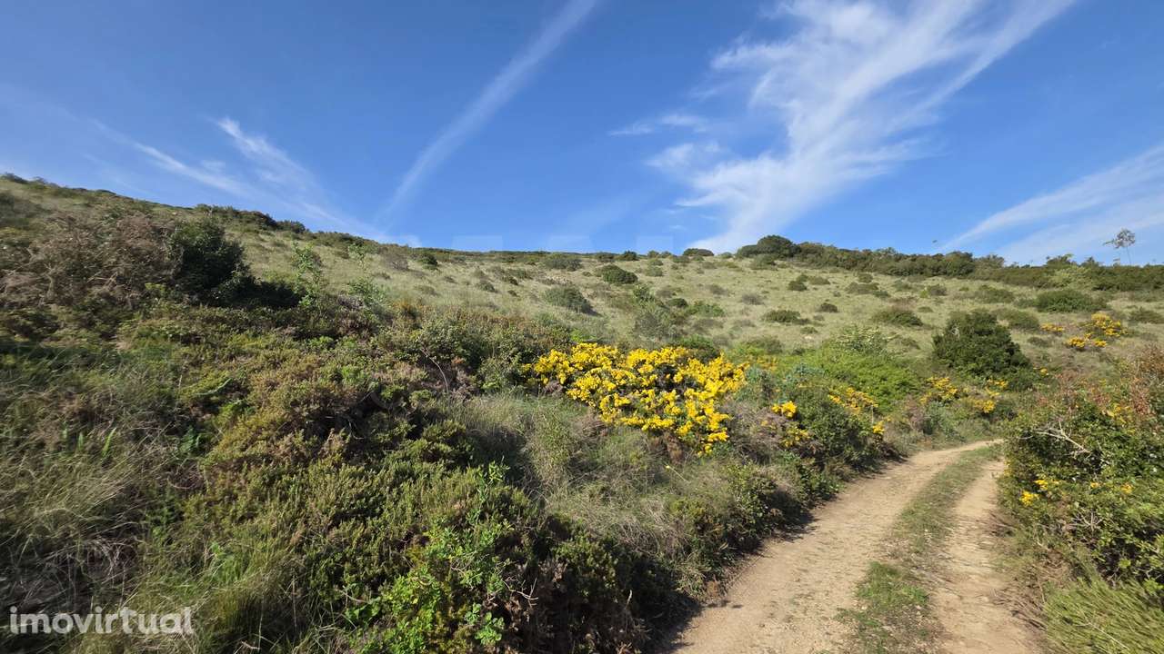 Terreno Rústico C/ Vista desafogada - Grande imagem: 4/11